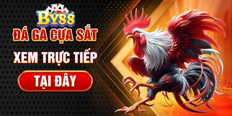 Đá Gà Trực Tiếp C3 Điểm Đến Lý Tưởng Của Kê Thủ Lợi thế cạnh tranh của sảnh cược đá gà C3